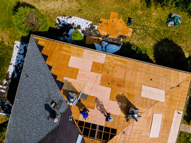 Best Roof Gutter Cleaning  in Portage Lakes, OH