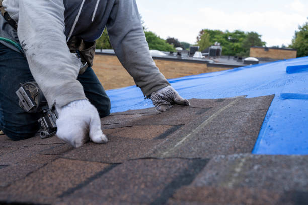 Professional Roofing Contractor in Portage Lakes, OH